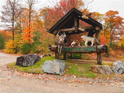hotels near parc omega